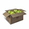 Wilson Triniti Tennis Balls - Eco-Friendly 72 Ball Club Case -Volkl Sales Store 3f0ad9c04f7aea15cdf81dca6150bed80cfe0e22 WR8201501 0 Triniti Club 72 Ball Box shadow 1024x1024