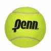 Penn 4 Inch Mini Jumbo Tennis Ball -Volkl Sales Store 581022 4 in penn ball 1024x1024