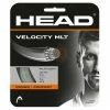 Head Velocity MLT 16 Tennis String (Natural) -Volkl Sales Store Head Velocity mlt 16 Natural tennis string RacquetGuys 1024x1024