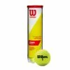 Wilson Championship Extra Duty Tennis Balls (4 Ball Can) -Volkl Sales Store WRT110000 Wilson Championship Extra Duty 4Ball Can 1024x1024