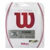 Wilson NXT Power 16 Tennis String 1 Wilson NXT Power 16 Tennis String -Volkl Sales Store WRZ941600 NXT Power 16 Pkg 1024x1024